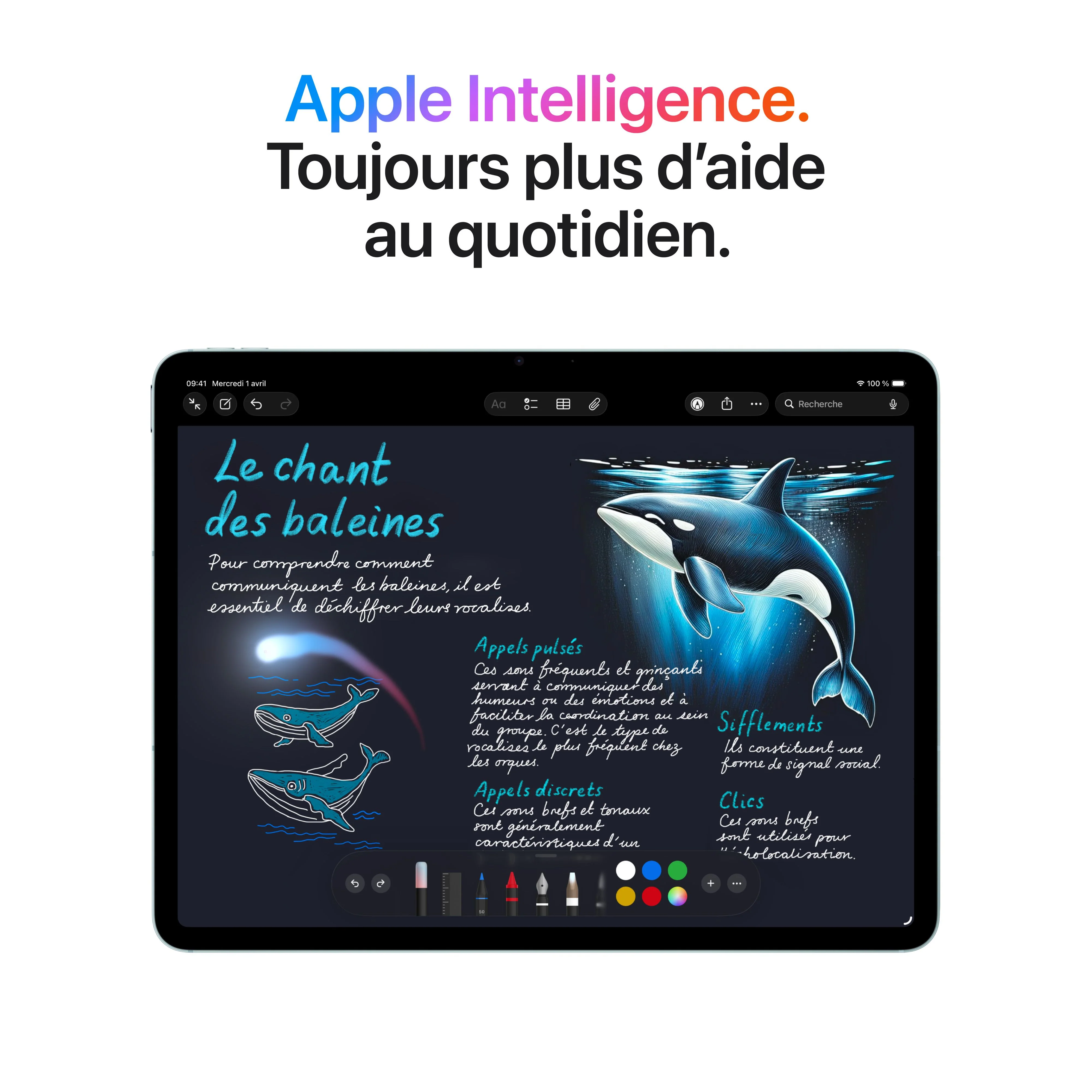 iPad Air 13 pouces Wi-Fi + Cellular 1 To - Gris sidéral (M4) - Image 5